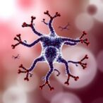 hemolysis-and-dat-positivity:-unraveling-immune-responses