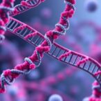 how-human-argonaute2–sirna-complex-cleaves-rna