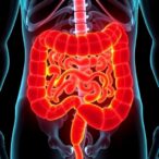 pyy-shields-intestines-from-satb2-related-ibd-damage