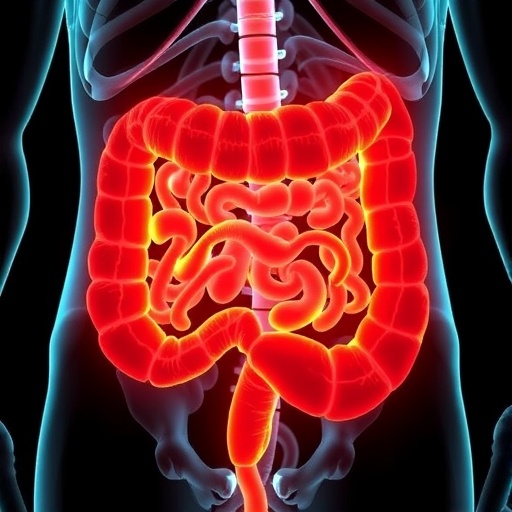 pyy-shields-intestines-from-satb2-related-ibd-damage