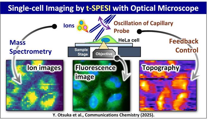 breakthrough-technology-advances-understanding-of-complex-biological-samples