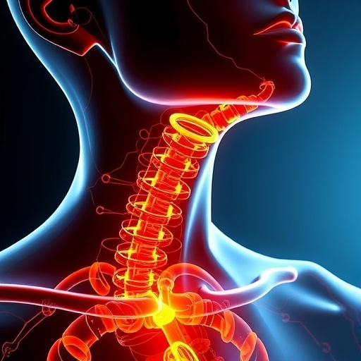 gypenoside-li’s-promise-against-anaplastic-thyroid-cancer