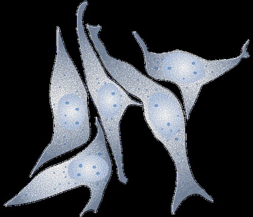 optimizing-culture-media-using-small-datasets-via-new-computer-model