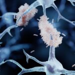 sweet-solution:-sugar-coated-nanotherapy-halts-alzheimer’s-disease-by-trapping-toxic-proteins