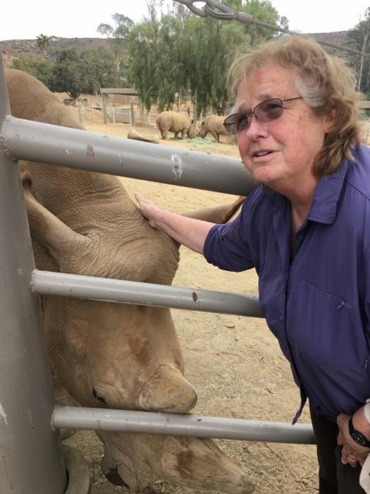 decoding-the-genome-of-the-northern-white-rhino:-a-beacon-of-hope-for-species-revival