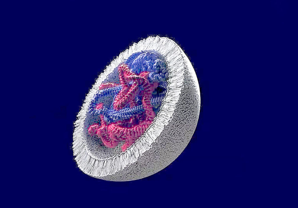 crossing-the-cell-membrane-without-viruses
