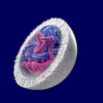 crossing-the-cell-membrane-without-viruses