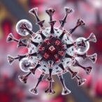 macrophage-enhanced-organoids-advance-enteric-virus-research