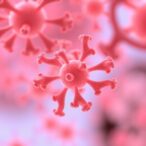 organoid-models:-revolutionizing-cancer-immunotherapy-assessment