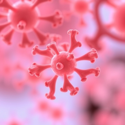 organoid-models:-revolutionizing-cancer-immunotherapy-assessment