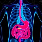 gastrointestinal-acute-radiation-syndrome:-insights-and-outlook