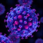 stat5-stat3-balance-drives-dendritic-cell-immunity