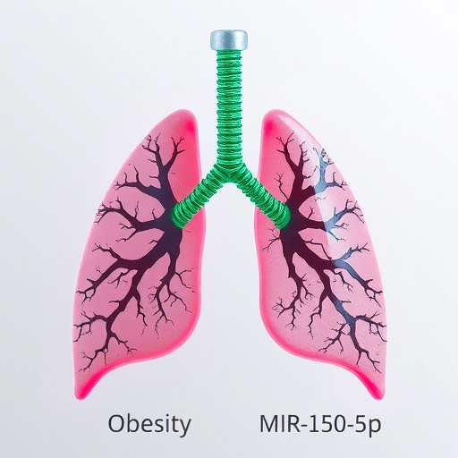obesity-linked-mir-150-5p-drop-worsens-lung-injury