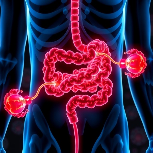 apolipoprotein-l-proteins-shape-gut-immunity