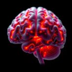 brain-metastases-atlas-advances-precision-imaging,-therapy