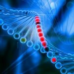 asgct-2025:-world’s-first-patient-treated-with-personalized-crispr-therapy
