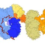 revolutionary-gene-editing-tool-achieves-unprecedented-precision