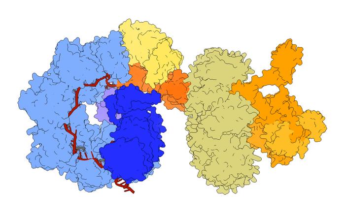 revolutionary-gene-editing-tool-achieves-unprecedented-precision