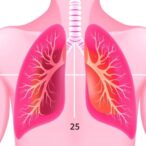 new-study-reveals-lung-capacity-declines-starting-as-early-as-age-20-to-25