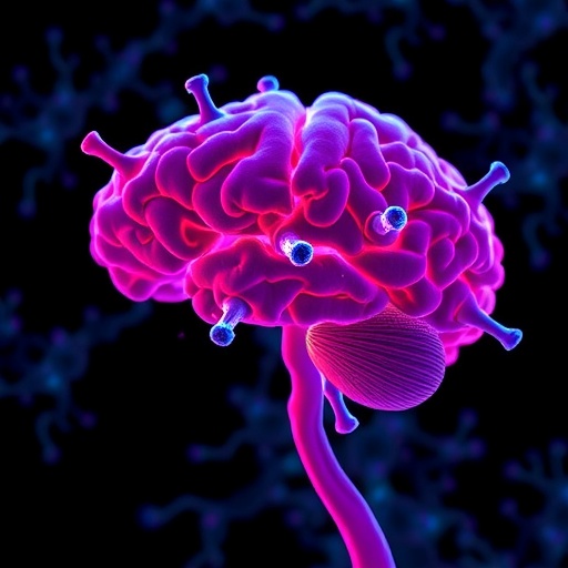 heat-shock-proteins-linked-to-glioma-myeloid-cells