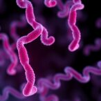 new-genes-linked-to-fviii-inhibitors-in-hemophilia