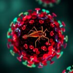 single-cell-insights:-malaria-parasite’s-adaptive-gene-expression
