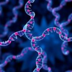 rare-genetic-variants-in-complement-pathway-linked-to-preeclampsia