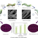 breakthrough-advances-in-anti-fibrillation-and-multifunctional-enhancement-of-lyocell-fabric
