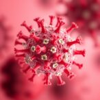 hepatitis-b-surface-antigen-triggers-unique-t-cell-immunity