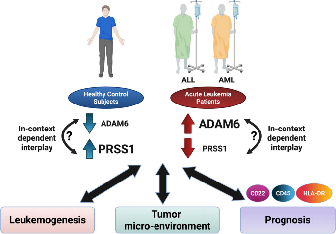 adam6-and-prss1:-new-leukemia-biomarkers