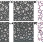 scientists-uncover-why-foams-leak-more-than-expected