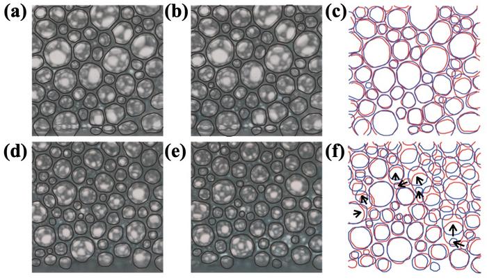 scientists-uncover-why-foams-leak-more-than-expected
