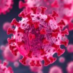hiv-1-fusion-peptide’s-shape-shift-unlocks-envelope
