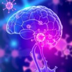 unraveling-neuro-immune-links-for-early-intervention