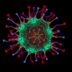 mettl13-controls-myc,-drives-leukemia-cell-survival