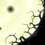 cdk-4-controls-nucleolar-size,-impacts-aging-in-worms