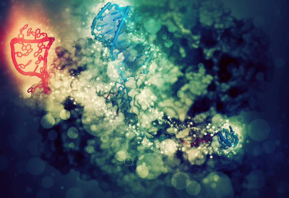 evocast-harnesses-crispr-linked-bacterial-transposes-to-insert-genes-into-human-cells