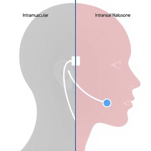 intramuscular-vs-intranasal-naloxone-for-fentanyl-apnea