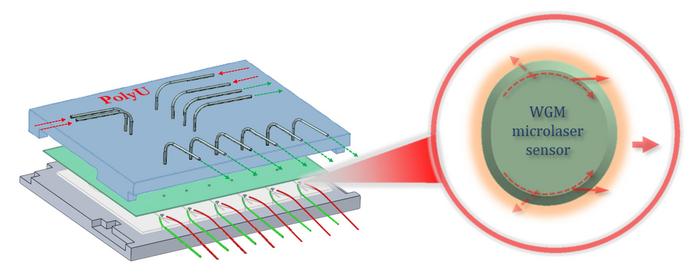 microlaser-sensors-revolutionize-biosensing-with-enhanced-precision