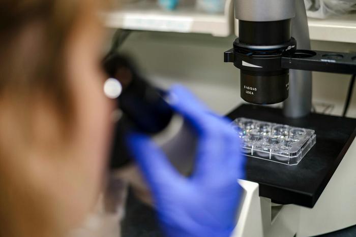 may-19,-2025:-key-research-breakthroughs-at-msk