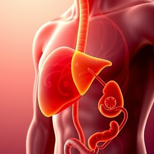 natural-compounds-regulate-liver-bat-metabolic-crosstalk