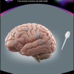 emerging-research-suggests-microplastics-in-ultra-processed-foods-may-impact-brain-health