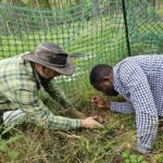 how-sex-specific-plant-responses-to-climate-change-challenge-biodiversity-predictions