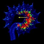 non-invasive-beta-igh3-degradation-predicts-pancreatic-cancer-outcomes