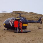 surprising-discovery-suggests-antarctic-soil-biodiversity-vastly-underestimated