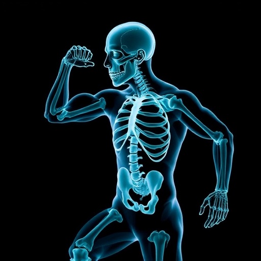 exercise-induced-clcf1-slows-age-related-muscle,-bone-loss