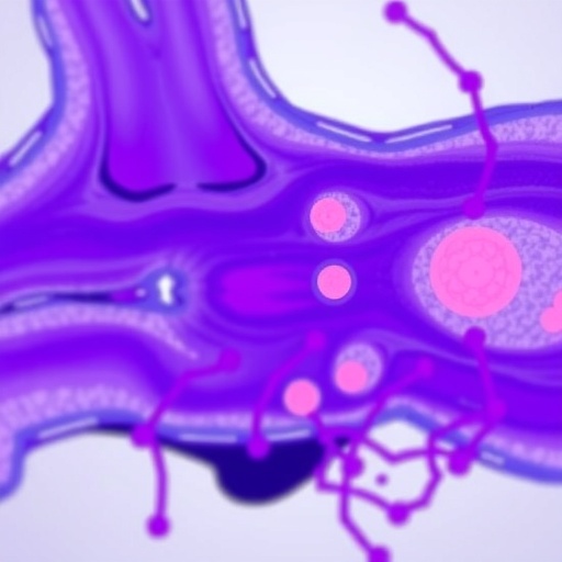osteocyte-vesicles-drive-bone-cartilage-communication-in-osteoarthritis