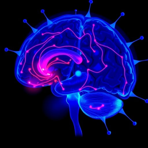 fcrn-silencing-enhances-safe-il-12-glioblastoma-therapy