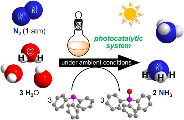 sunlight-drives-green-ammonia-revolution