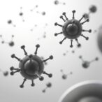 west-african-south-american-cholera-bacteria-defend-against-phages